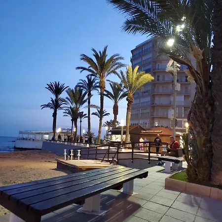 In Cozy City&sea Torrevieja